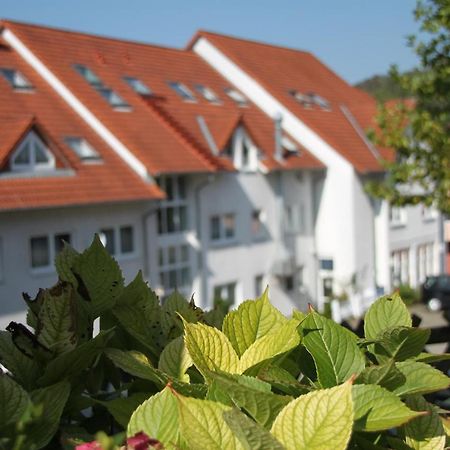 Hotel Leo Muehlhausen Esterno foto